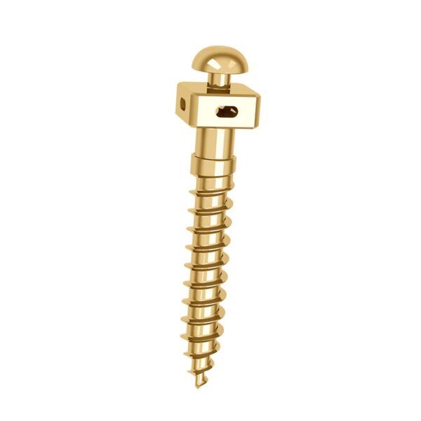 OBS Micro Screw 2x12mm Titanium (with hole) - 2025 SAS Milán